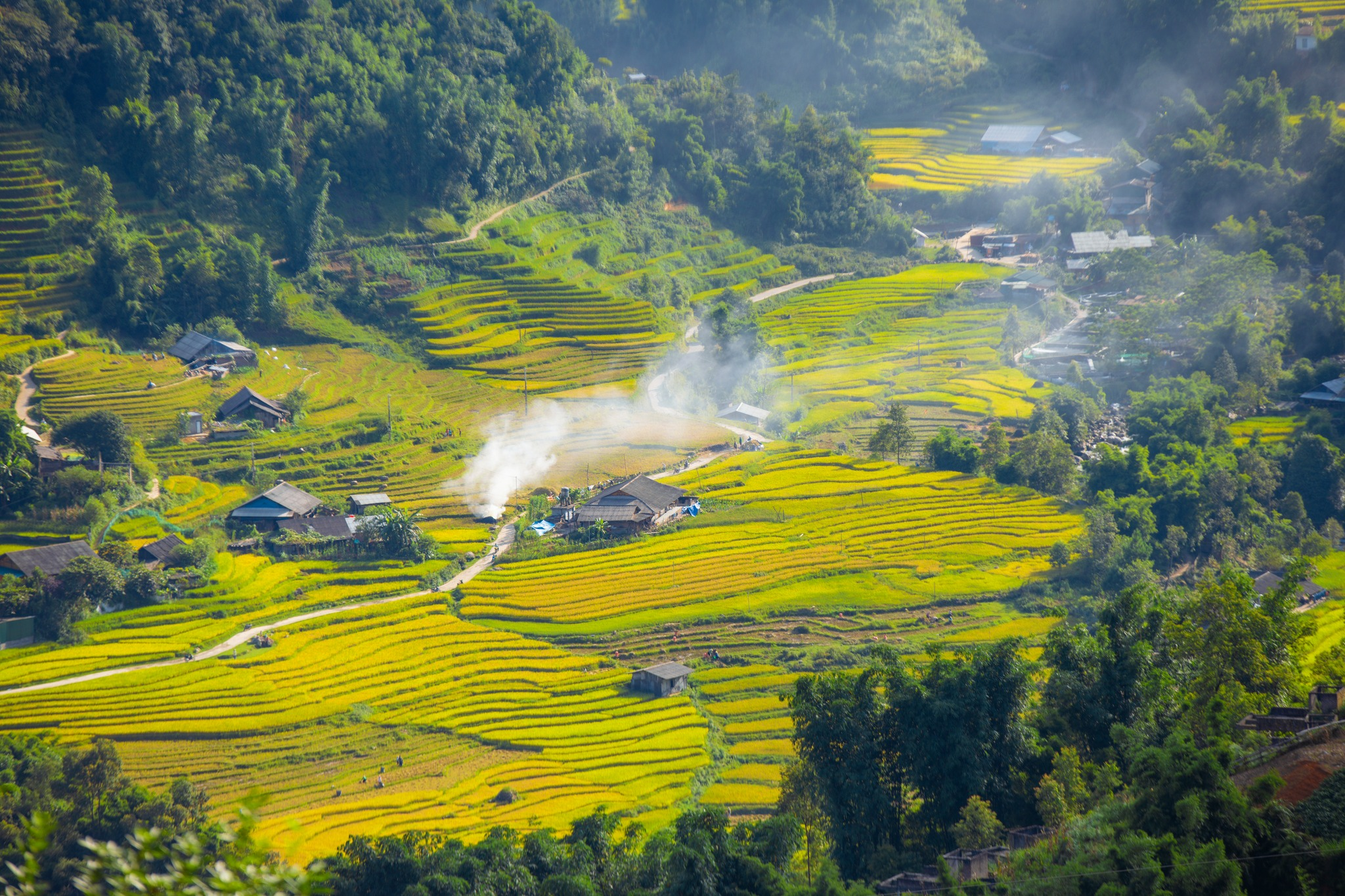 Ruộng bậc thang uốn theo sườn núi, xen giữa những bản làng nhỏ trong thung lũng Mường Hoa vào mùa thu. 
