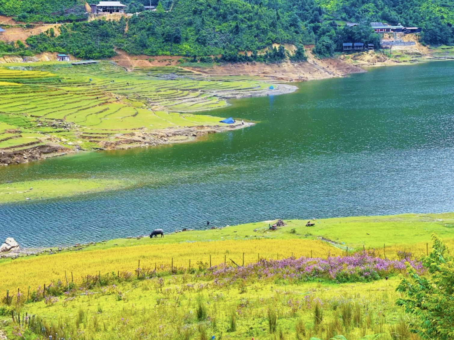 Hồ nằm giữa núi rừng tạo nên không gian thoáng đãng và yên tĩnh.