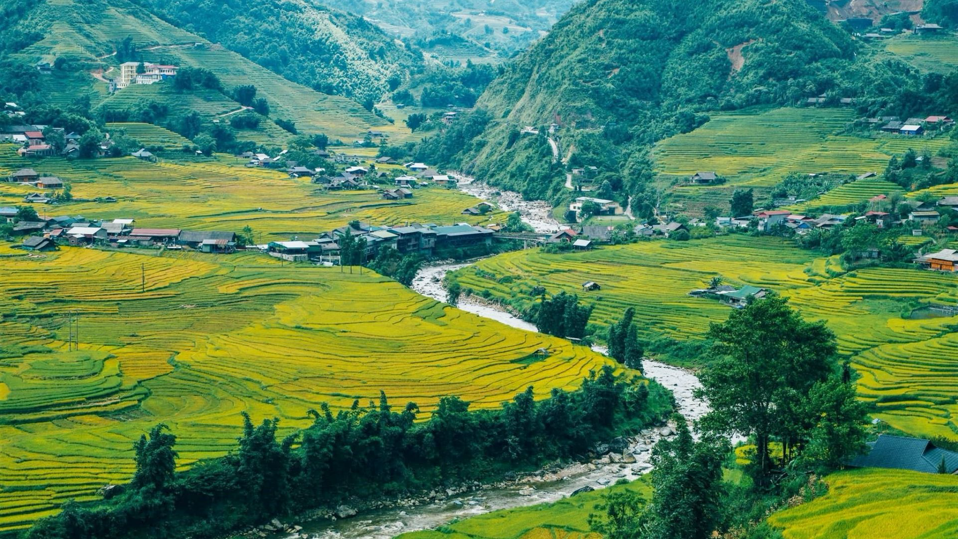 Những thửa ruộng bậc thang và nếp nhà tại Tả Van hiện lên trong buổi sáng mùa thu.