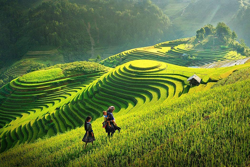 Toàn cảnh Sa Pa giữa núi rừng Tây Bắc vào mùa thu