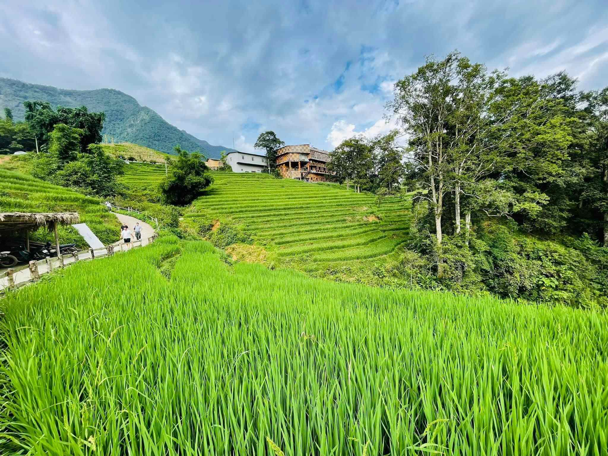 Bản Tả Van nằm giữa thung lũng với ruộng bậc thang và những bản làng đặc trưng của vùng cao Sa Pa.