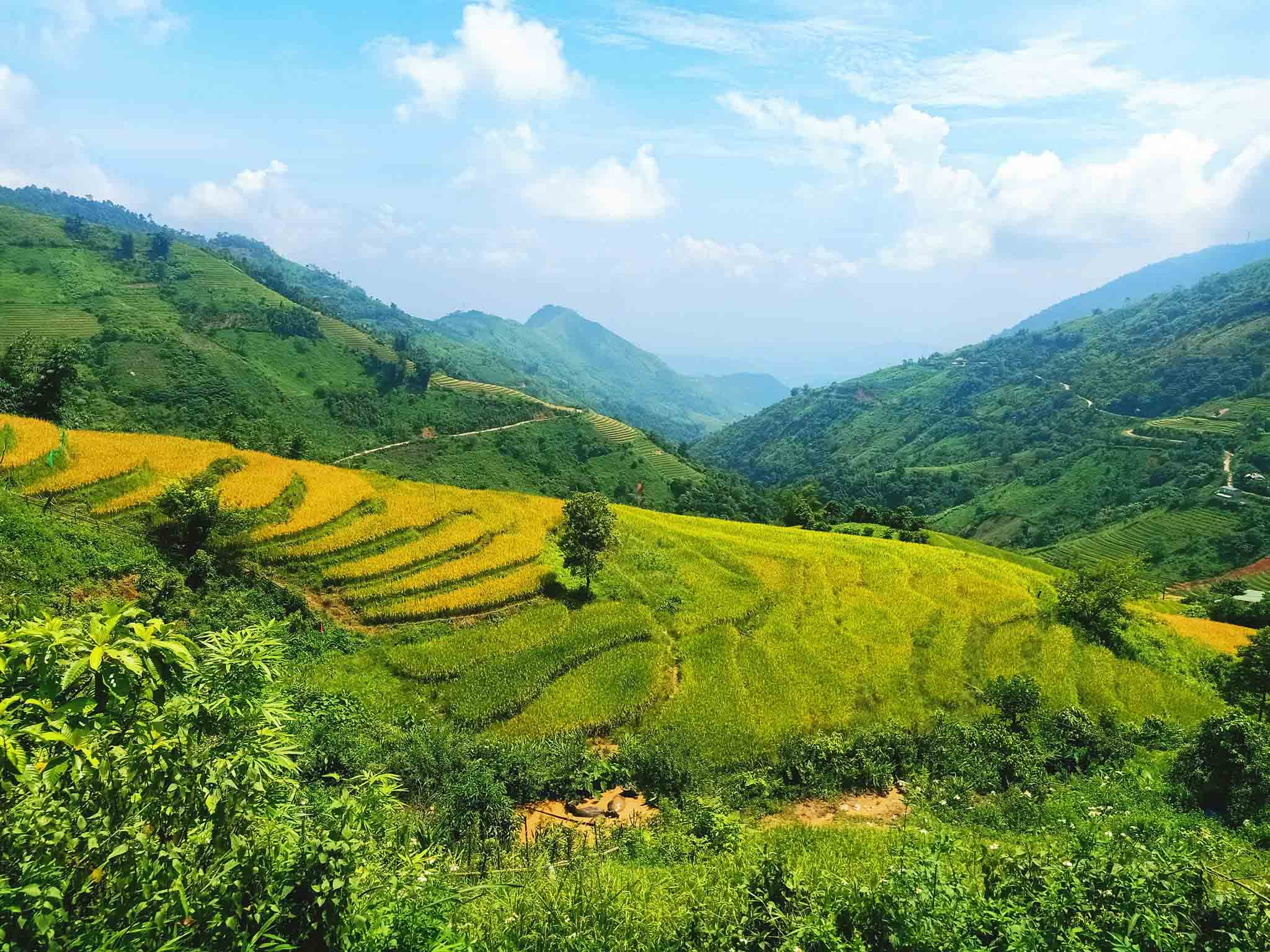 Tả Phìn mang đến một góc Sa Pa bình dị với bản làng, ruộng bậc thang và những nét văn hóa đặc trưng của người Dao đỏ. 