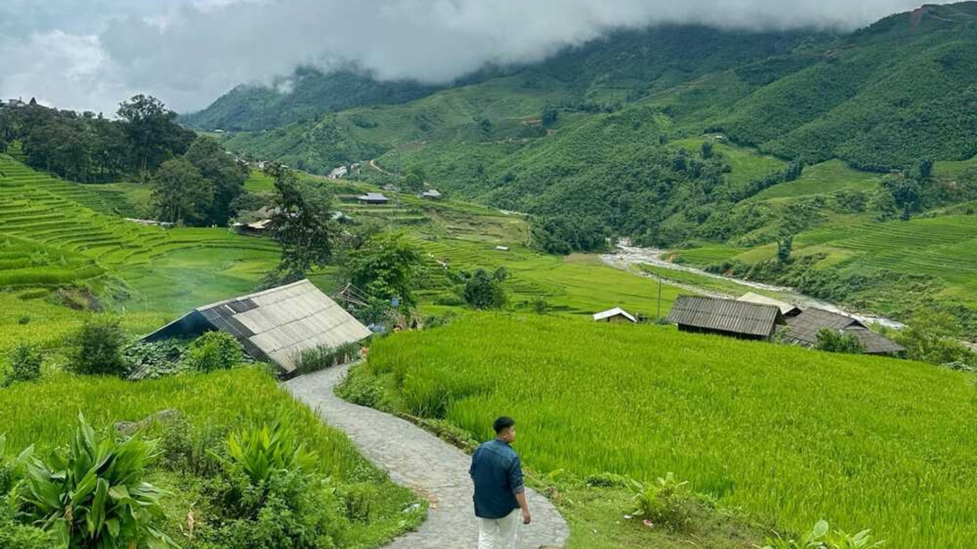 Ruộng bậc thang trải dọc thung lũng tạo nên vẻ đẹp đặc trưng của bản Tả Van.
