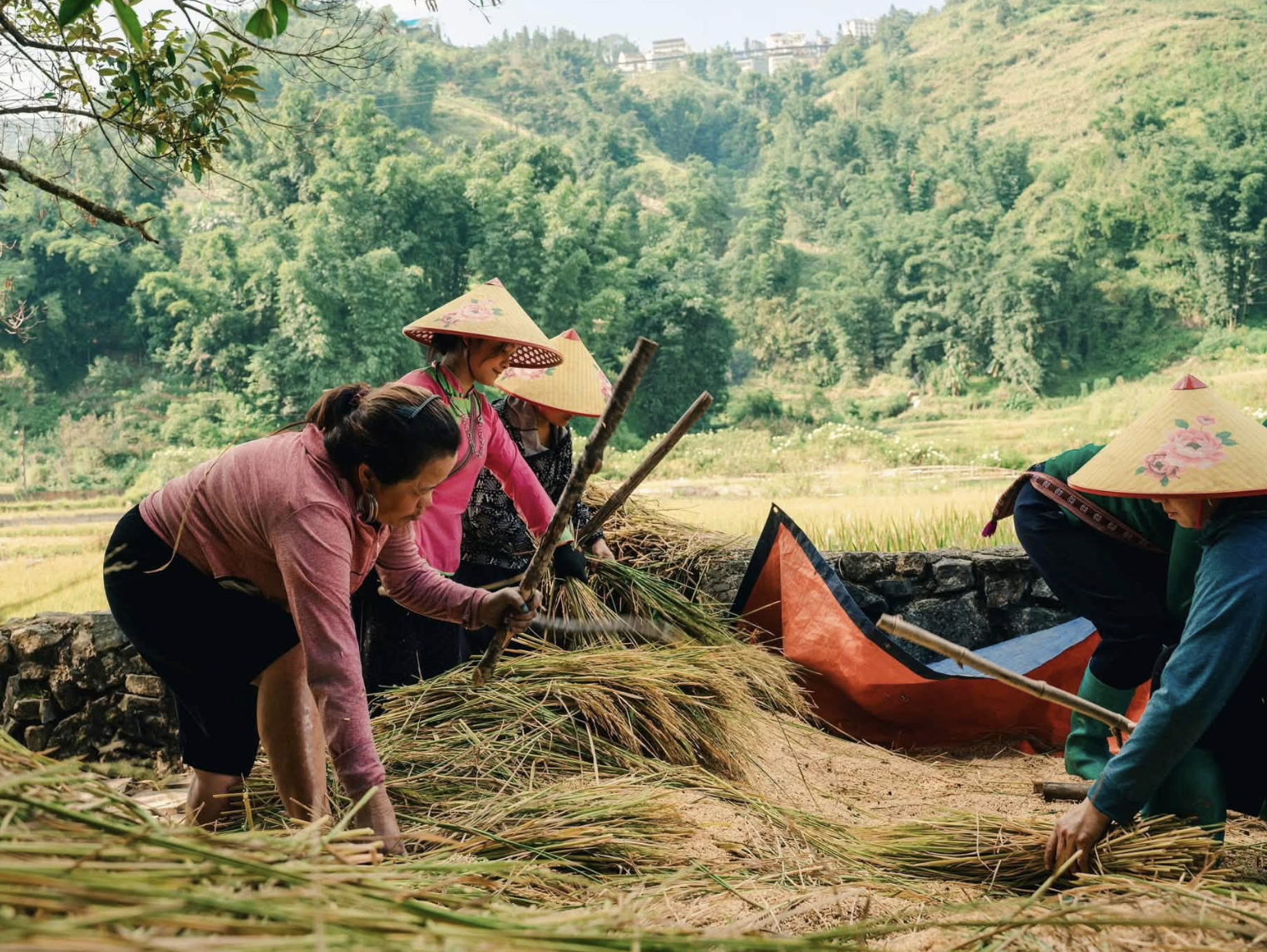 Các nghề truyền thống và hoạt động thủ công của người dân. 