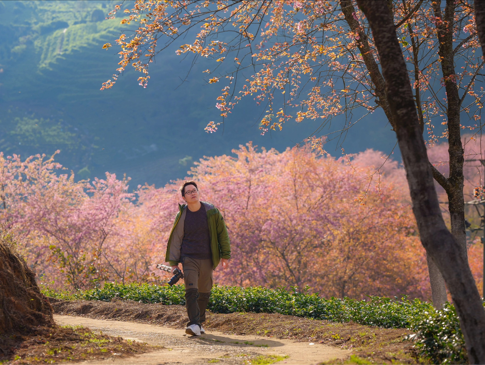 Nhiều cây hoa đào nở rộ khắp bản làng Sa Pa vào mùa xuân. 