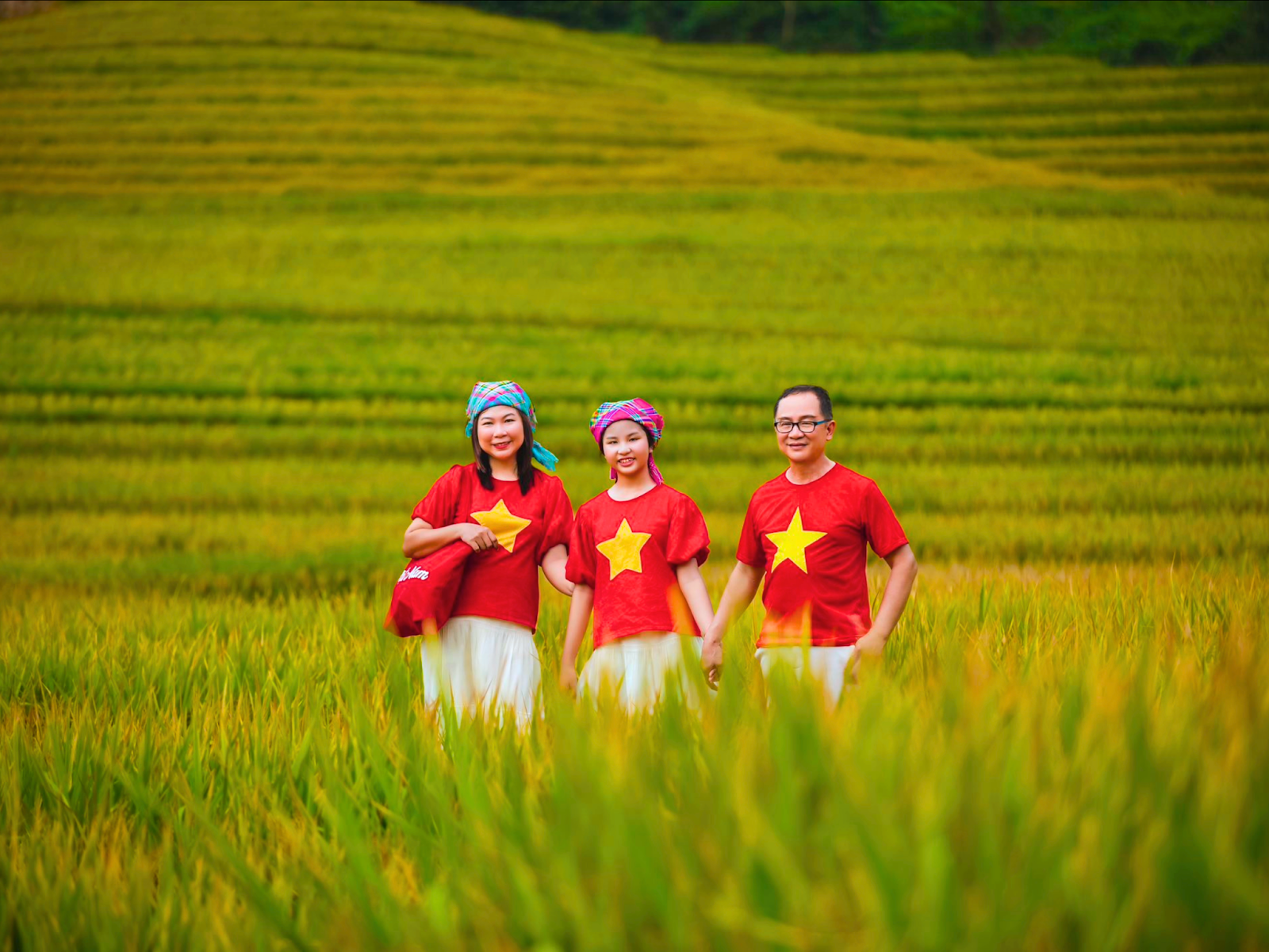 Những cánh đồng Sa Pa ngả vàng khi mùa thu đến. 