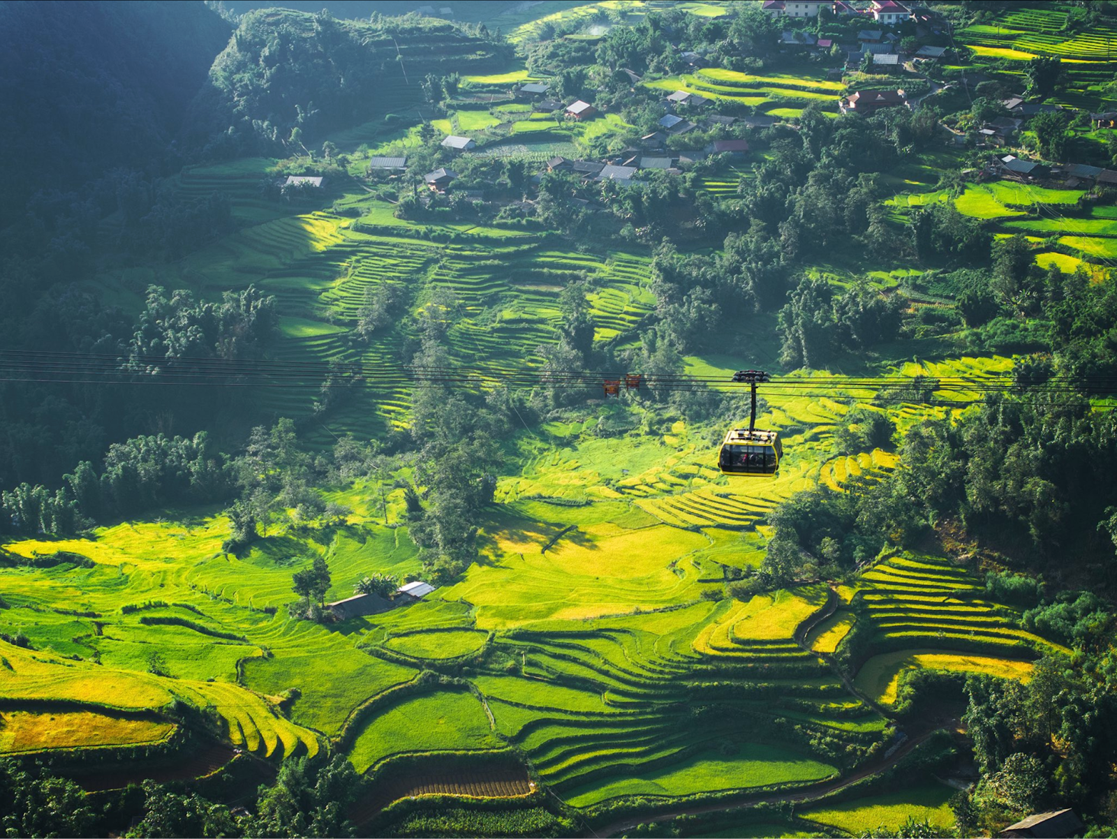 Trải nghiệm có 1-0-2 khi ngắm ruộng bậc thang từ cáp treo Sun World Fansipan Legend.