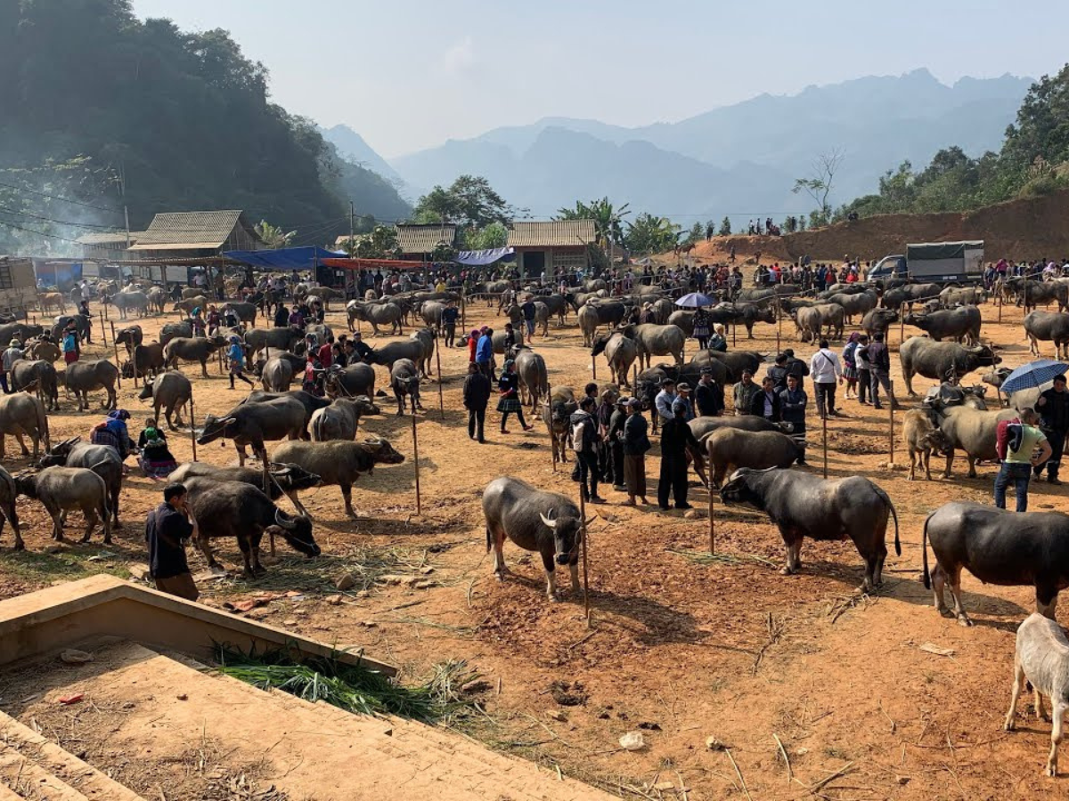 Đây cũng là nơi giao thương gia súc lớn nhất Tây Bắc.