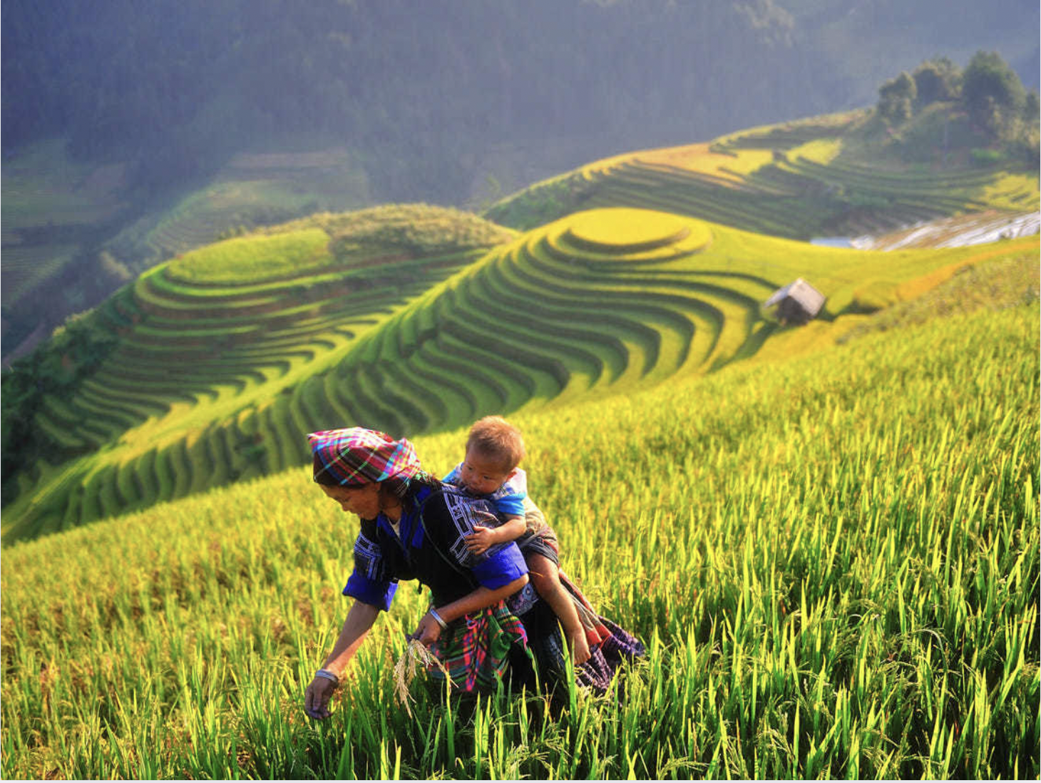 Bản Sín Chải vẫn còn lưu giữ nét đơn sơ mộc mạc điển hình của bản làng vùng cao.