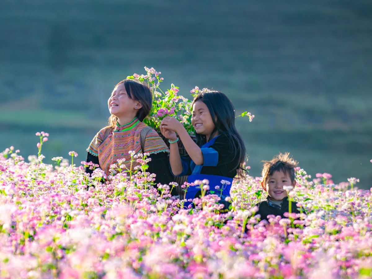 Khoảnh khắc check-in giữa núi rừng, khi bạn cảm nhận từng hơi thở trong lành của thiên nhiên Sa Pa. 