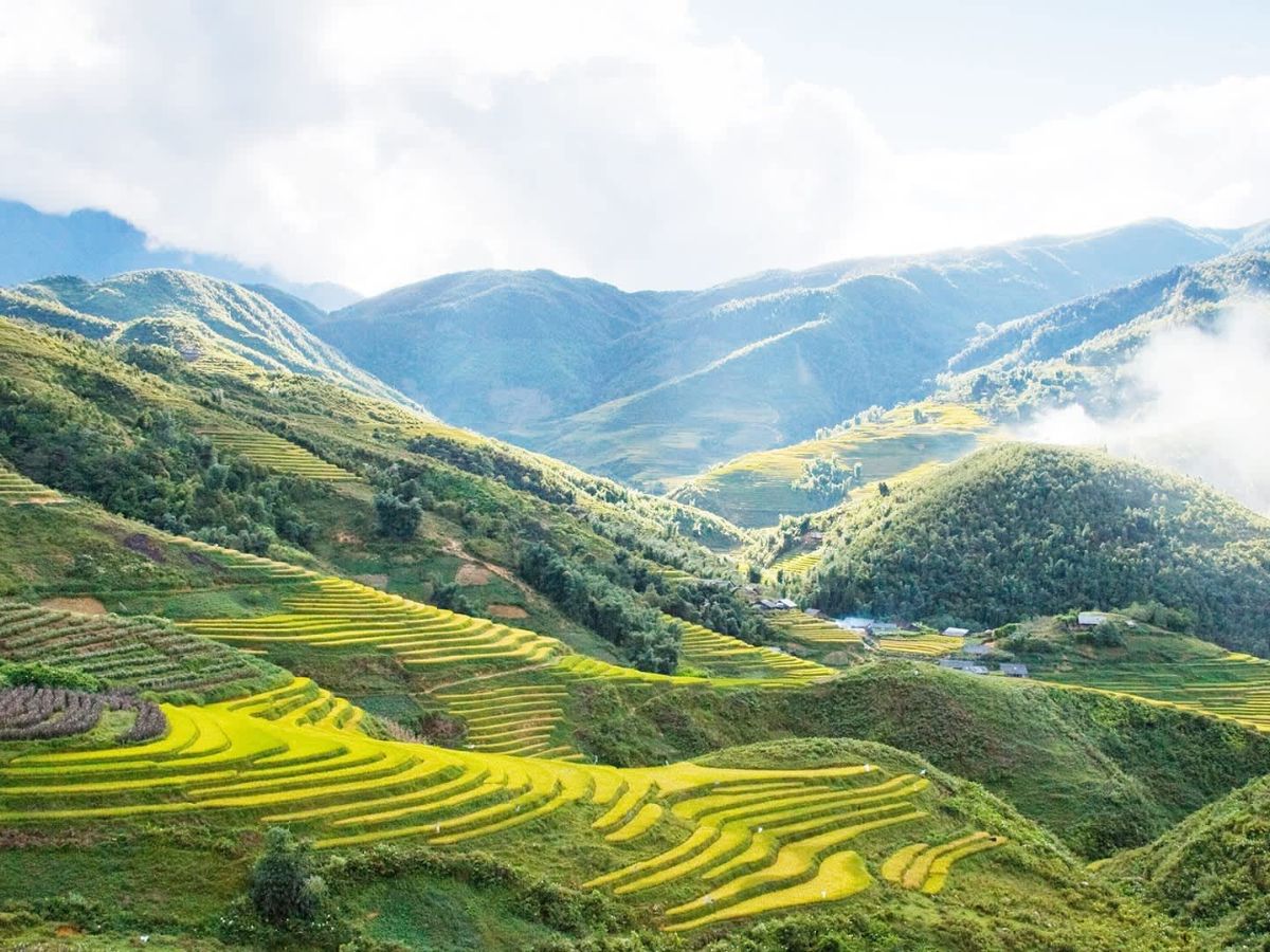 Con đường uốn lượn giữa ruộng bậc thang vàng óng, nơi bạn có thể trekking, ngắm mây và lắng nghe nhịp sống bình yên của bản làng vùng cao. 