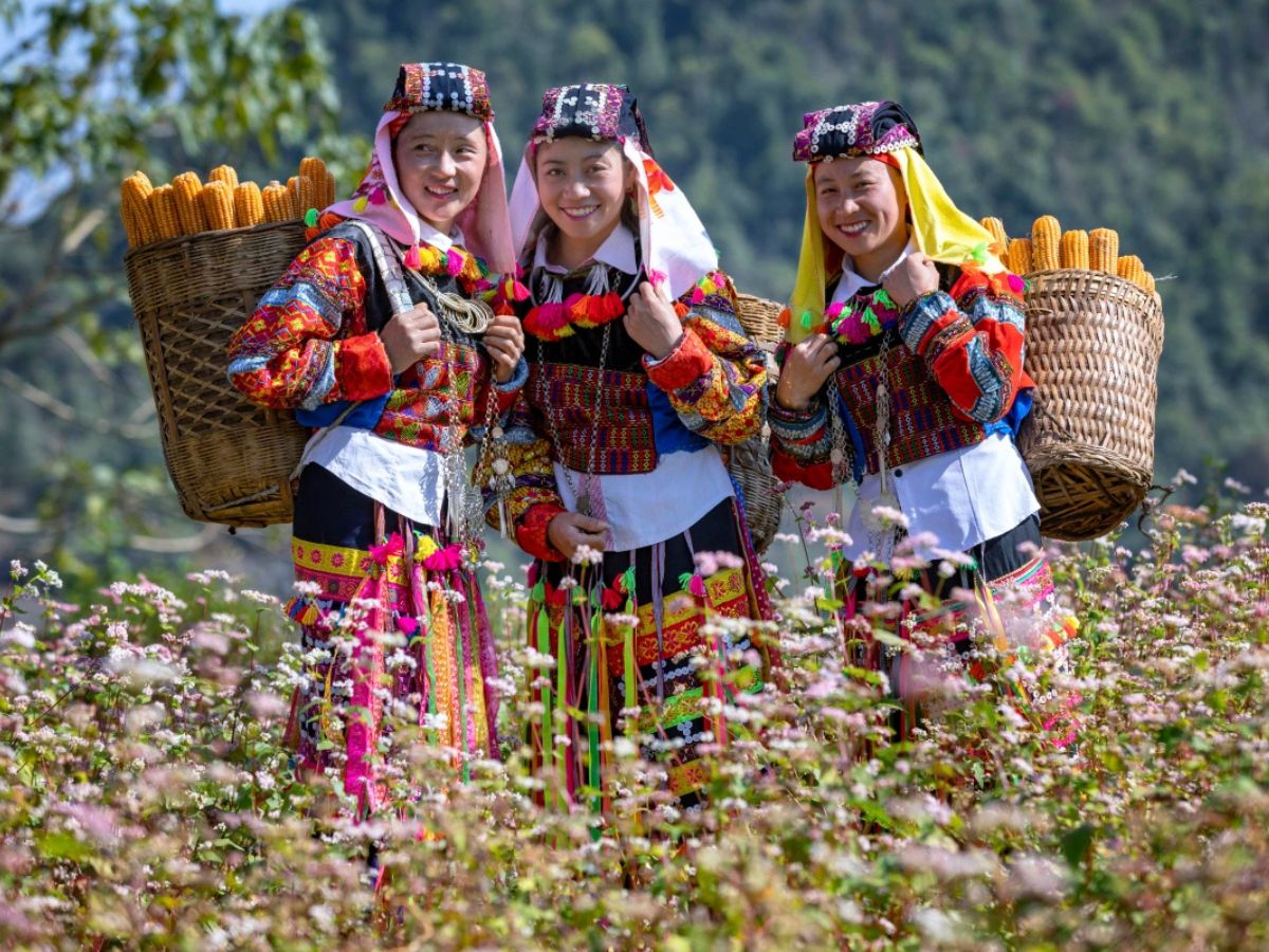 Lễ hội hoa tam giác mạch Sa Pa tại Sun World Fansipan Legend