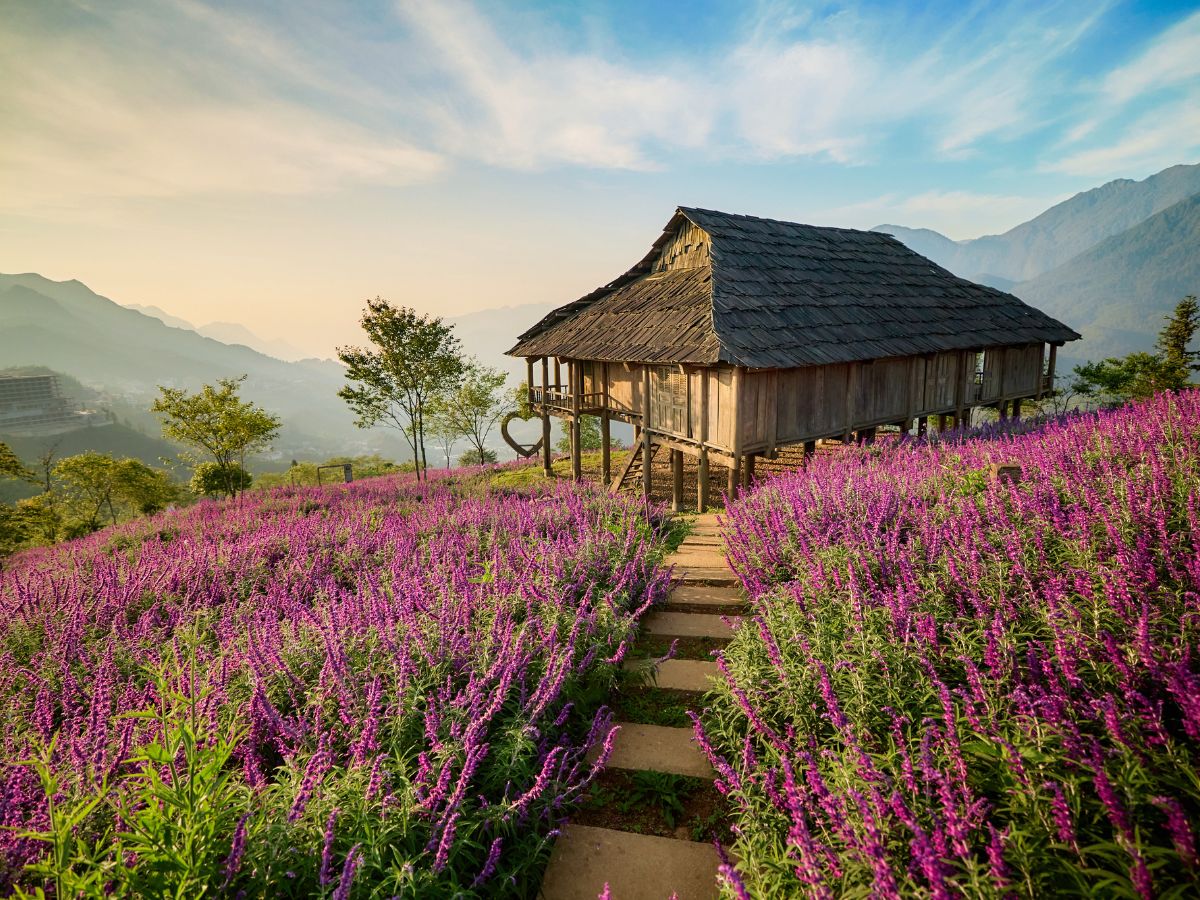 Các tiện ích tại Vườn Mây Homestay Sapa mang đến trải nghiệm tuyệt vời cho du khách.