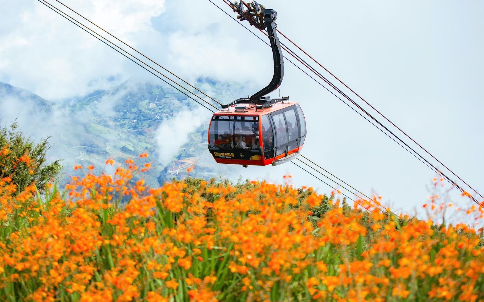 Cáp treo đưa du khách băng qua tầng mây trắng bồng bềnh.