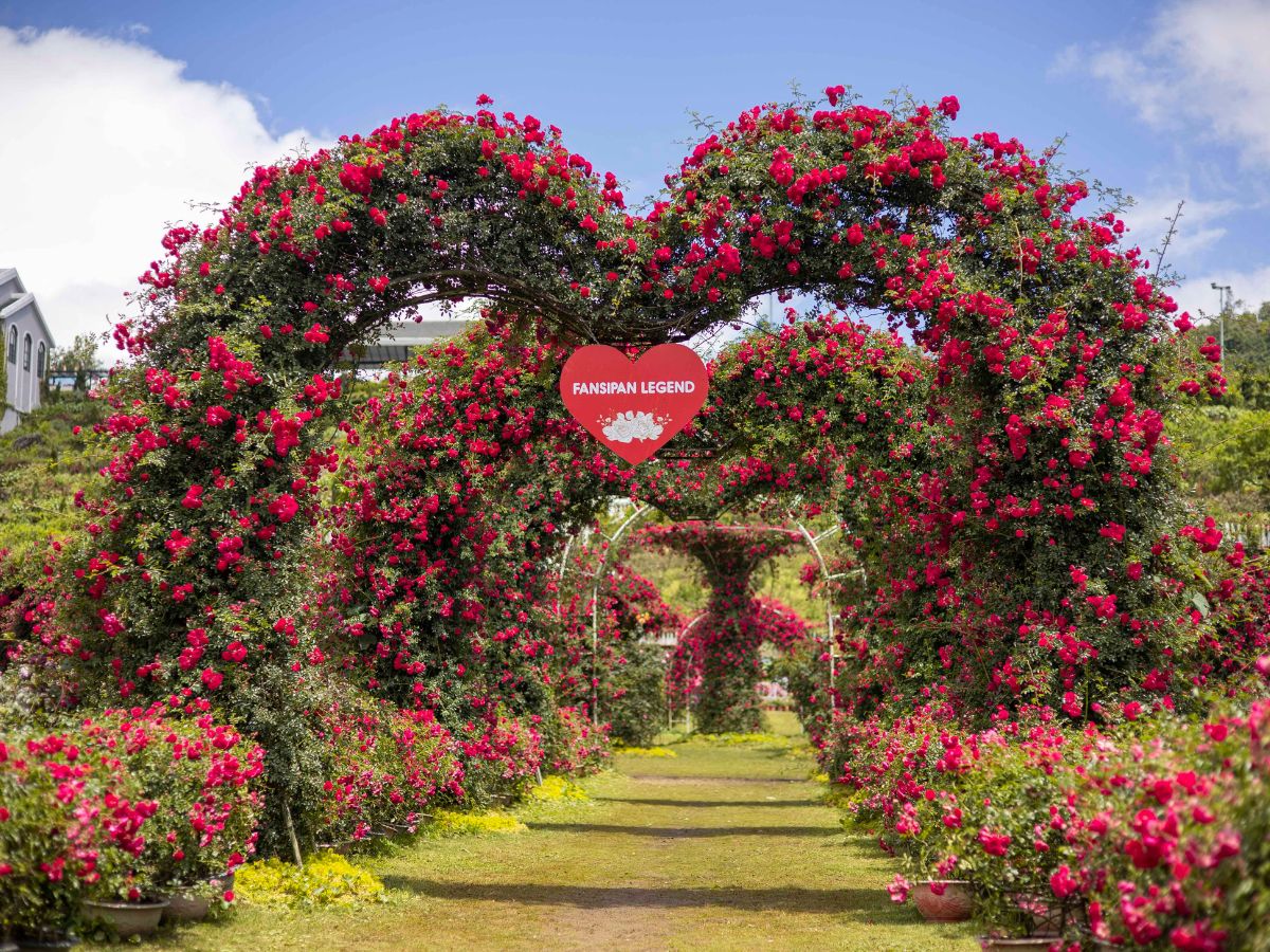 Trải nghiệm du lịch tại Sun World Fansipan Legend
