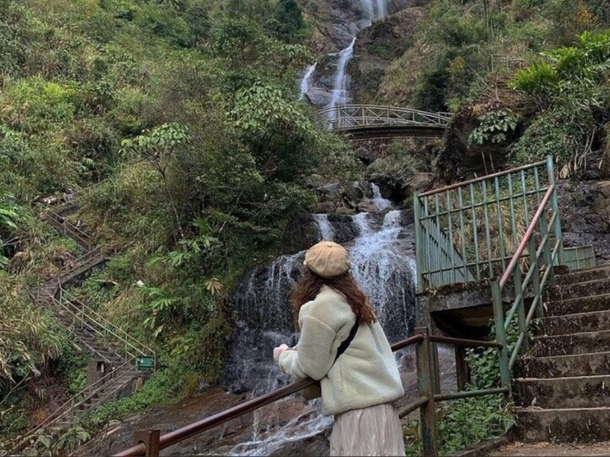 Trải nghiệm check-in cầu vồng ấn tượng giữa núi rừng hùng vĩ. 