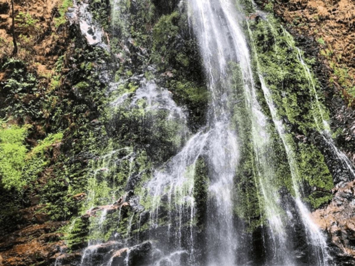 Khám phá Thác Tình bằng hành trình trekking và tận hưởng vẻ đẹp kỳ vĩ.&nbsp;