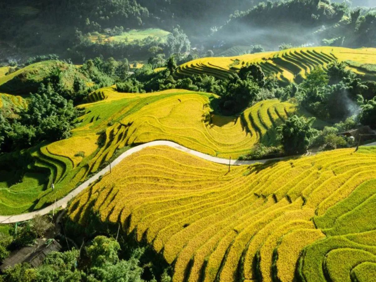 Khung cảnh ruộng bậc thang hùng vĩ của bản Tả Van