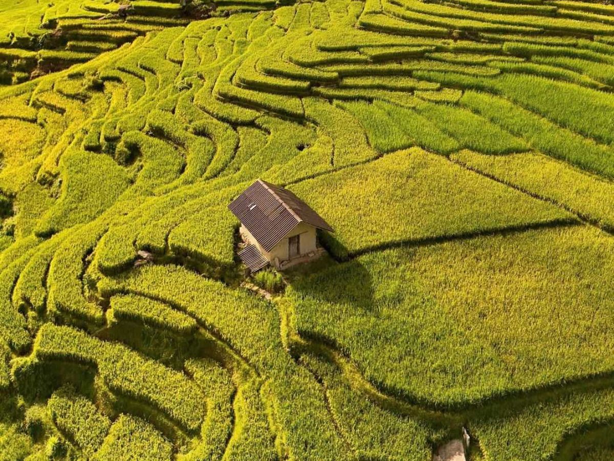 Giữa những thửa ruộng bậc thang hùng vĩ, ngôi nhà nhỏ hiện lên bình yên và đẹp đến mê mẩn.