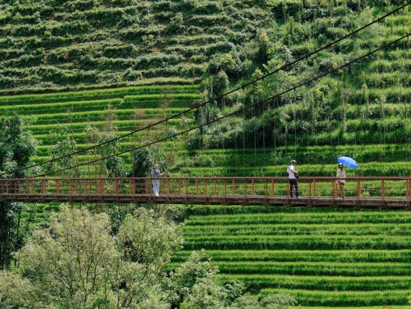 Cầu treo Lao Chải San 2 là địa điểm check-in nổi bật