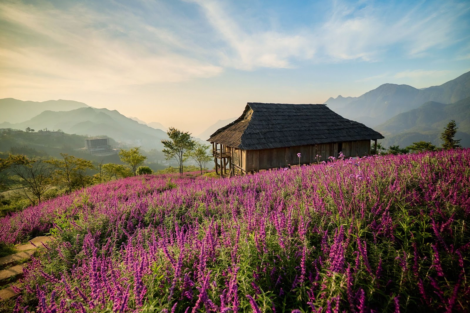 Sa Pa bốn mùa hoa nở, núi rừng khoe sắc, chinh phục mọi du khách