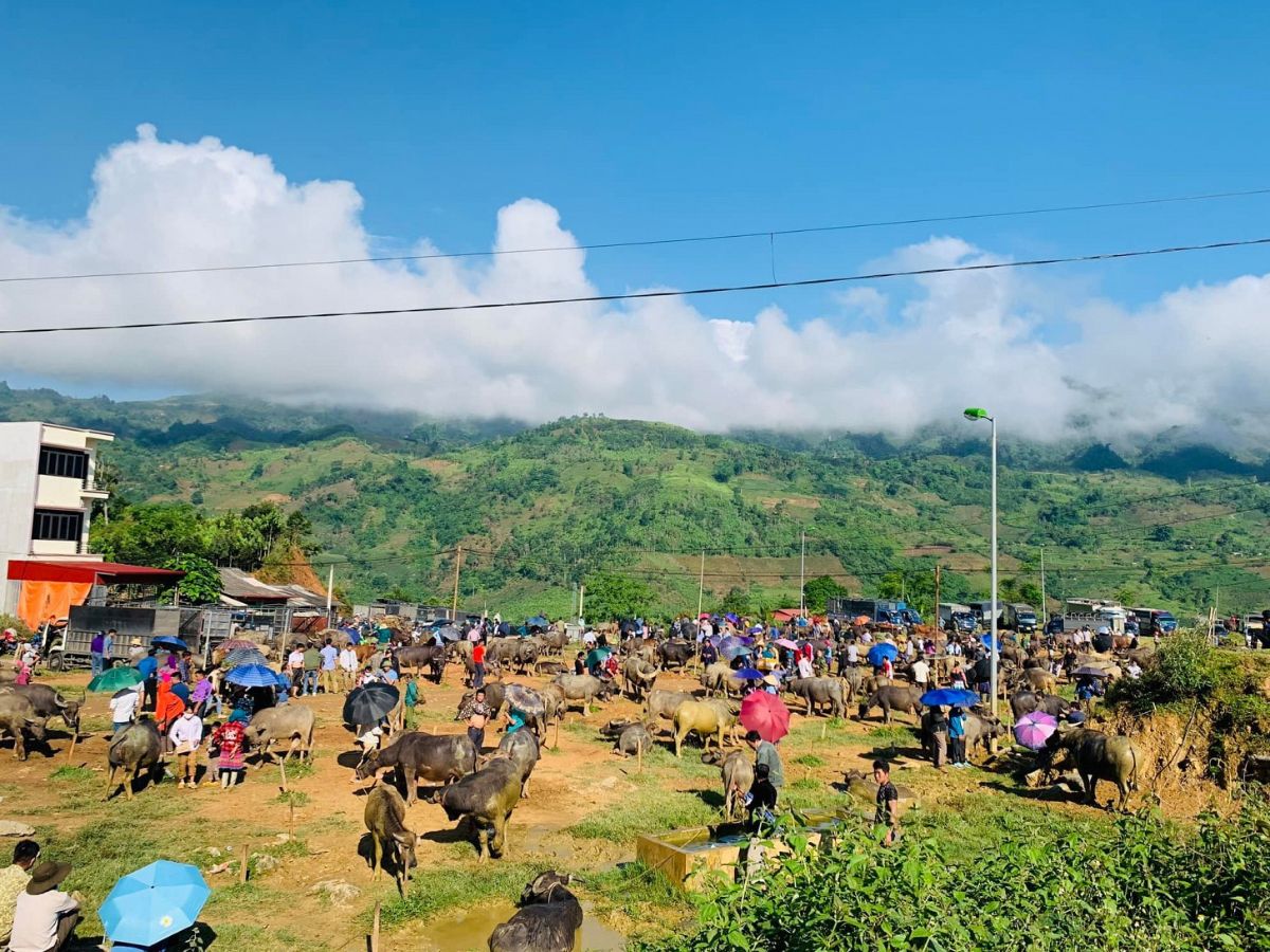 Khung cảnh nhộn nhịp, rực rỡ sắc màu của chợ phiên Sa Pa