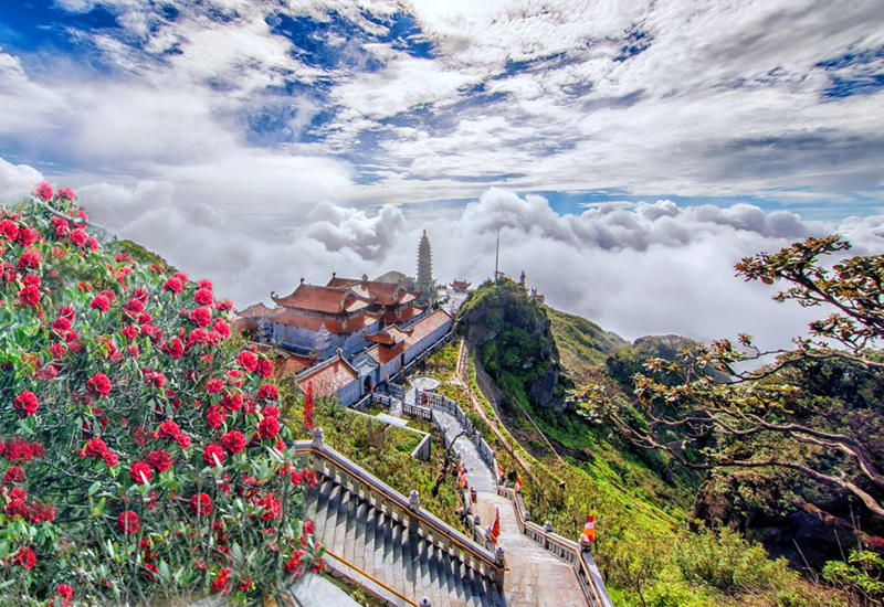 Du khách có thể thả hồn vào không gian thiên nhiên căng tràn sức xuân.