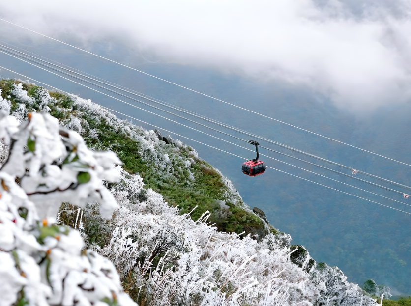 Tuyết chủ yếu xuất hiện ở độ cao trên 3.000 m.