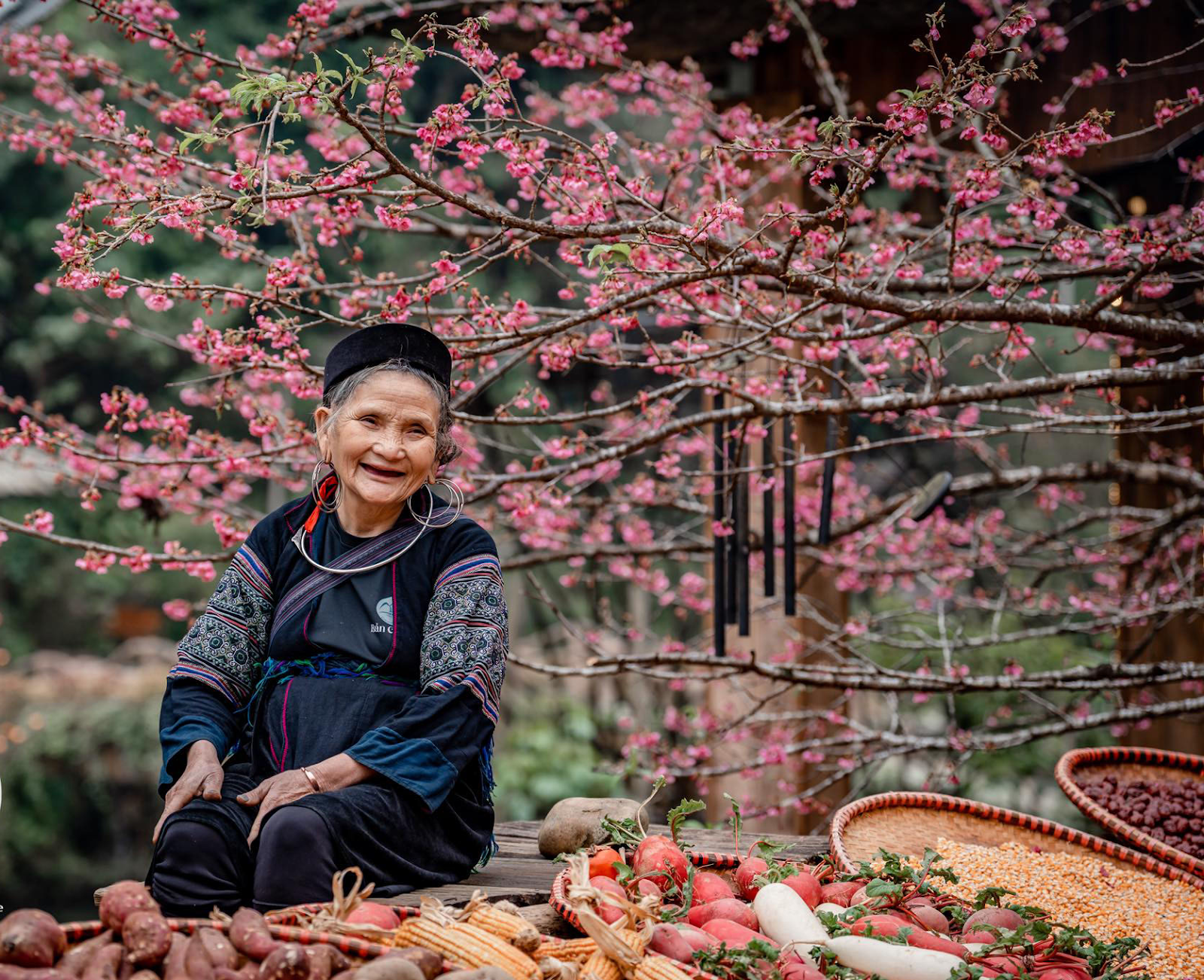 Bản Cát Cát khoác lên mình gam màu đặc trưng của núi rừng Tây Bắc với hoa đào.