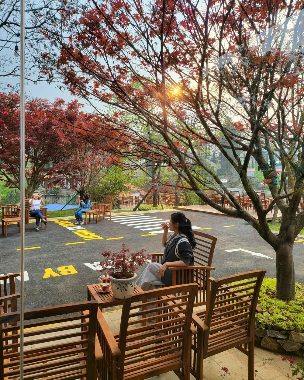 Giới trẻ nô nức check-in bên cây phong lá đỏ tại Sa Pa.