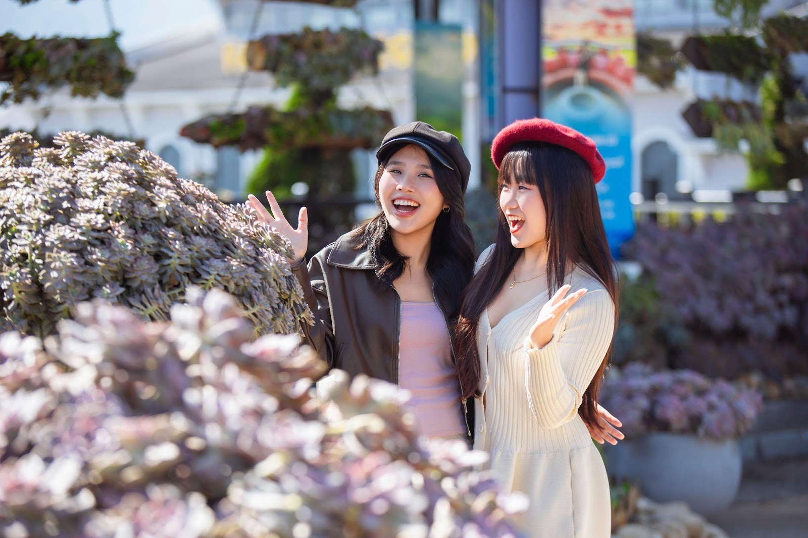 Du khách check-in không gian sen đá tại Sun World Fansipan Legend. 