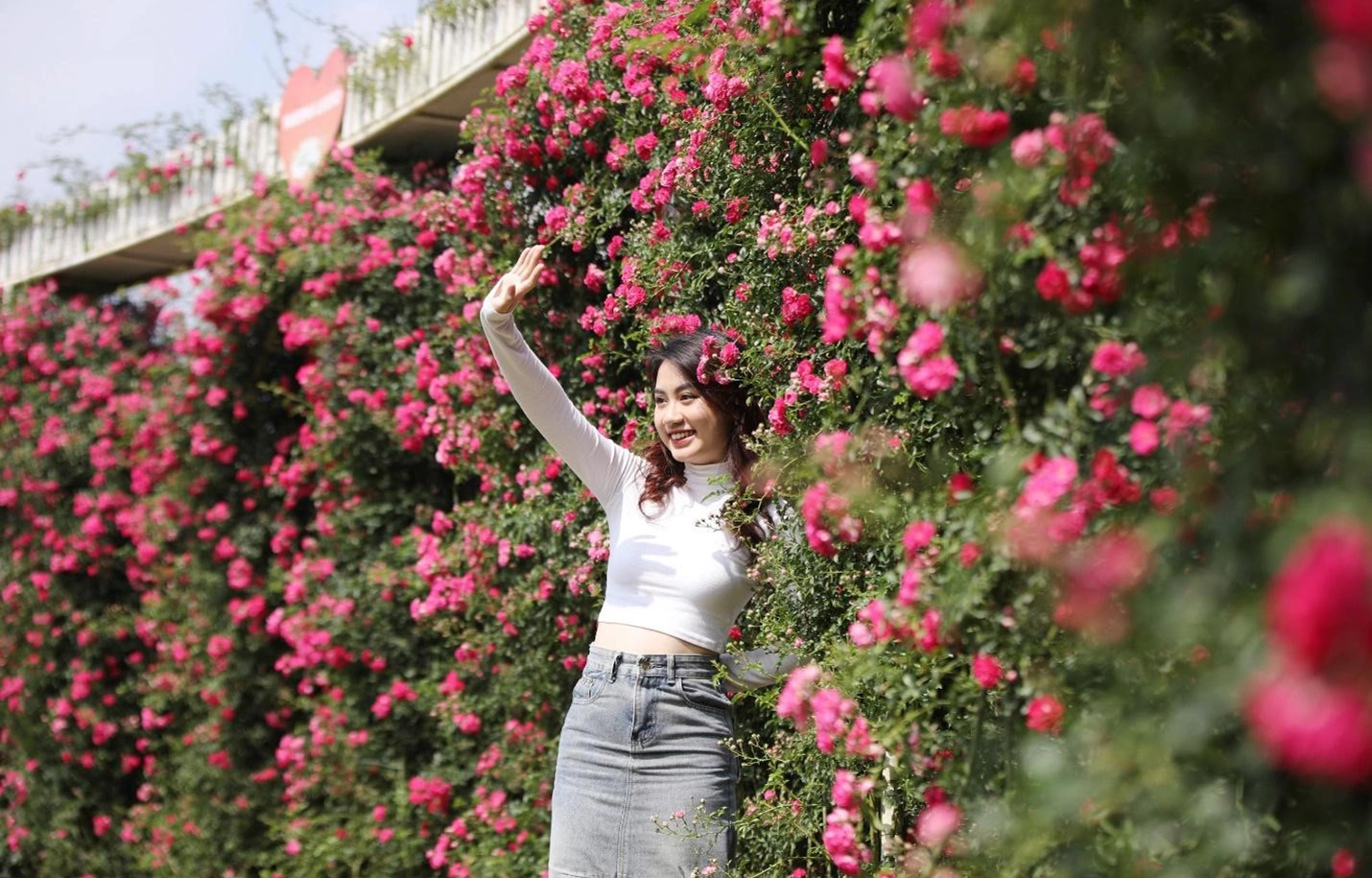 Du khách thích thú chiêm ngưỡng thiên đường hoa tại Sa Pa vào dịp Tết.