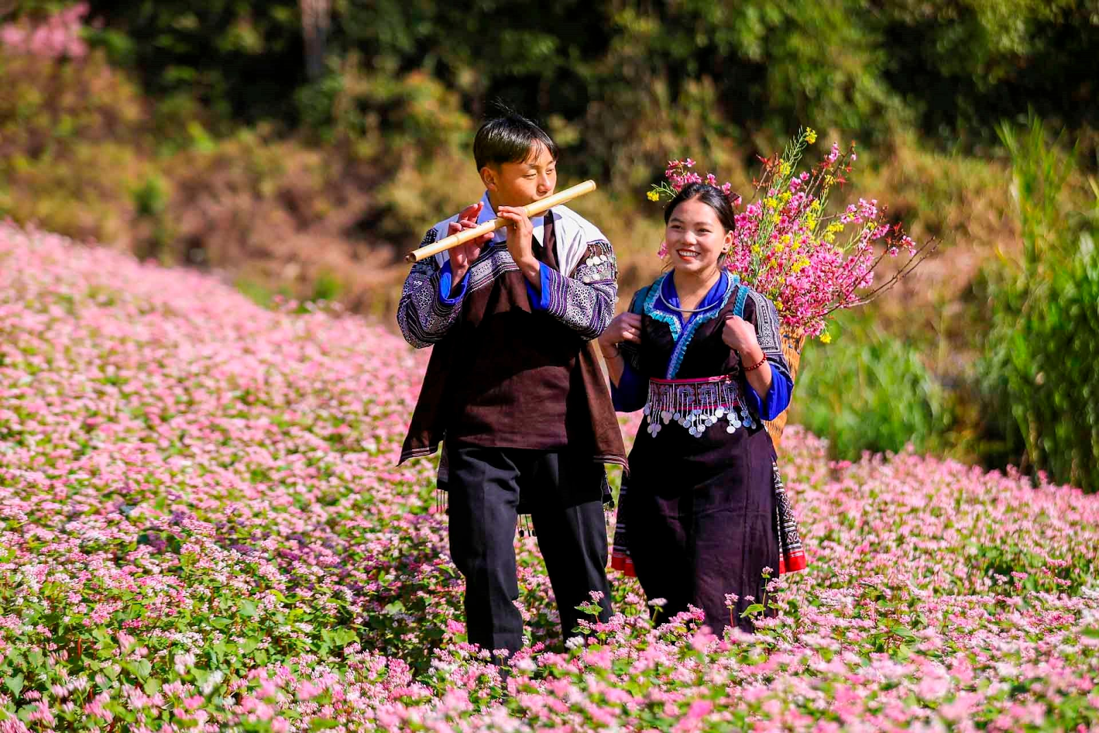 Cảnh sắc thiên nhiên Sa Pa thời điểm này càng thêm rực rỡ với nhiều loài hoa. 