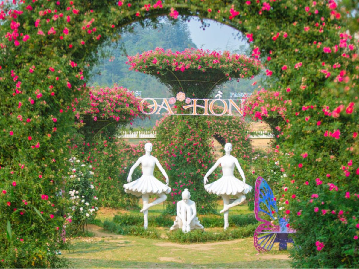 Ngắm cảnh và sống ảo tại vườn hồng Fansipan Legend, nơi thiên nhiên Sa Pa khoe sắc bốn mùa. (Nguồn: Sưu tầm)