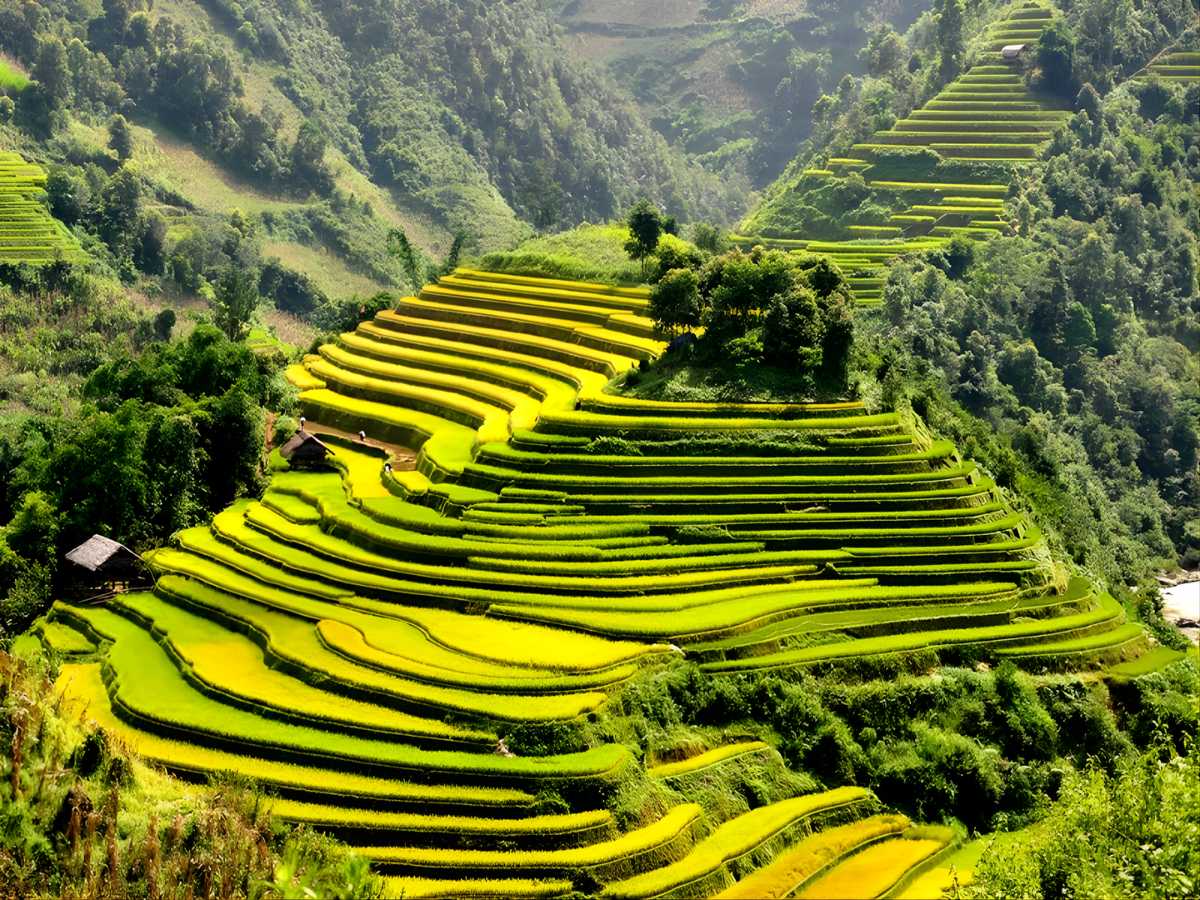 Ruộng bậc thang quanh thung lũng Mường Hoa vào tháng 3 còn mang vẻ xanh non do lúa chưa vào mùa chín. 