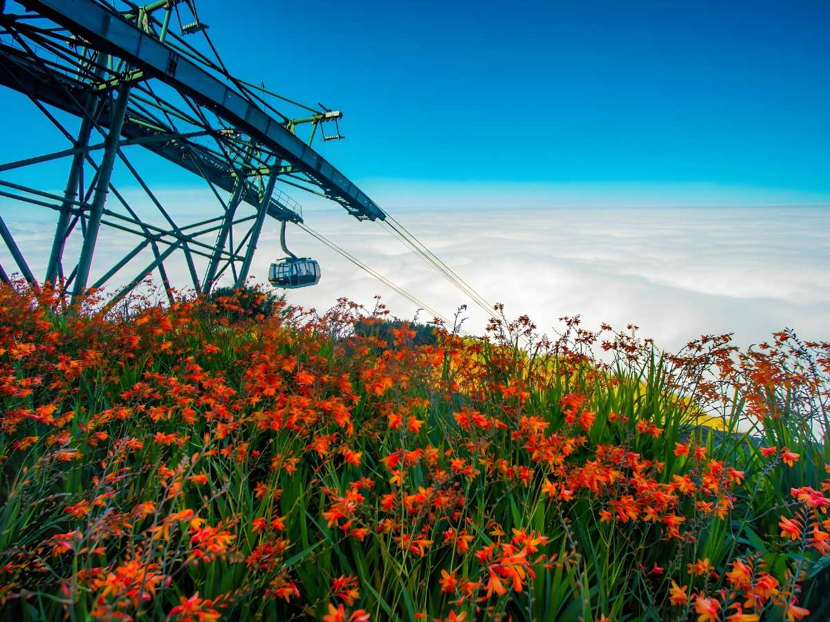 Thời điểm lý tưởng từ tháng 3 đến tháng 5 là thời điểm thích hợp nhất để lên đỉnh bằng cáp treo. 