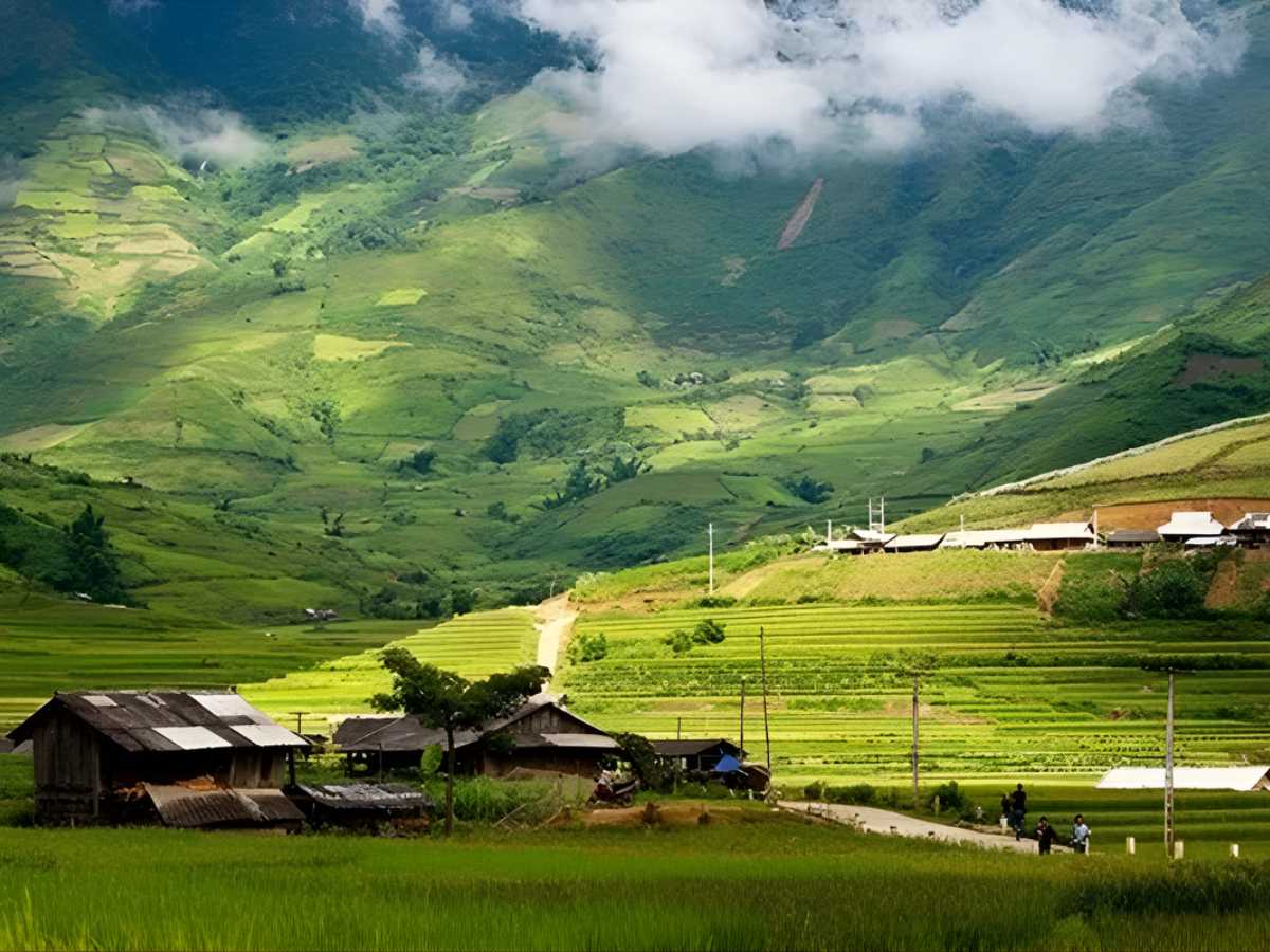 Khí hậu tại tỉnh Lào Cai vào cuối tháng 3 và đầu tháng 4 thường mang đặc trưng của mùa xuân miền núi với nhiệt độ trung bình quanh 16°C đến 24°C. 