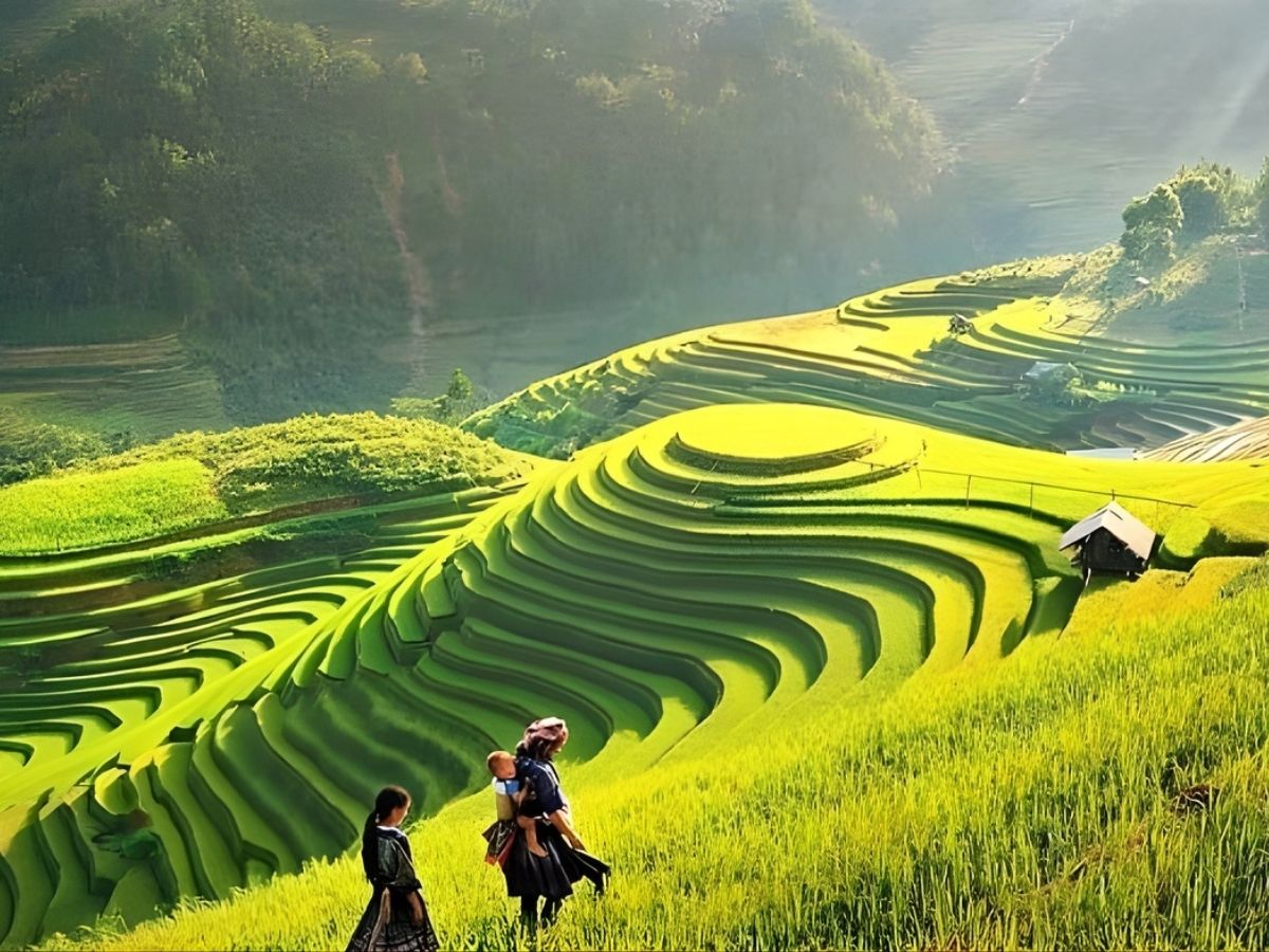 Bản Tả Van nổi bật với những thước ruộng bậc thang xanh mướt. 