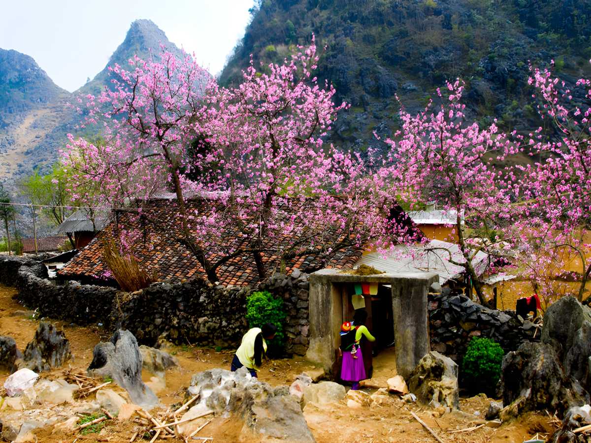 Sa Pa nổi bật với cảnh quan thiên nhiên đa dạng và khí hậu mát mẻ quanh năm. 