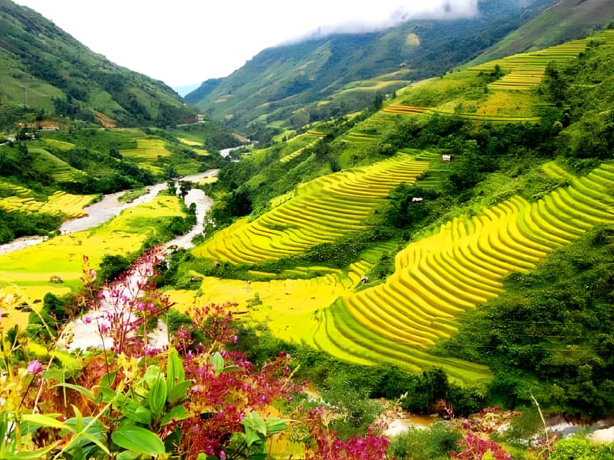 Khí hậu Sa Pa dịp 30/4 1/5 mát mẻ, dao động khoảng 15 đến 22 độ C. 