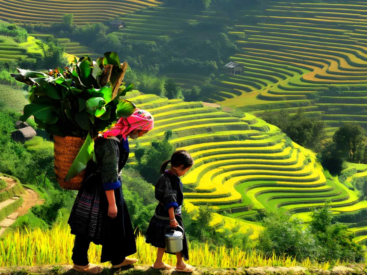 Sa Pa nằm ở vùng núi cao nên sở hữu khí hậu ôn đới mát mẻ quanh năm.