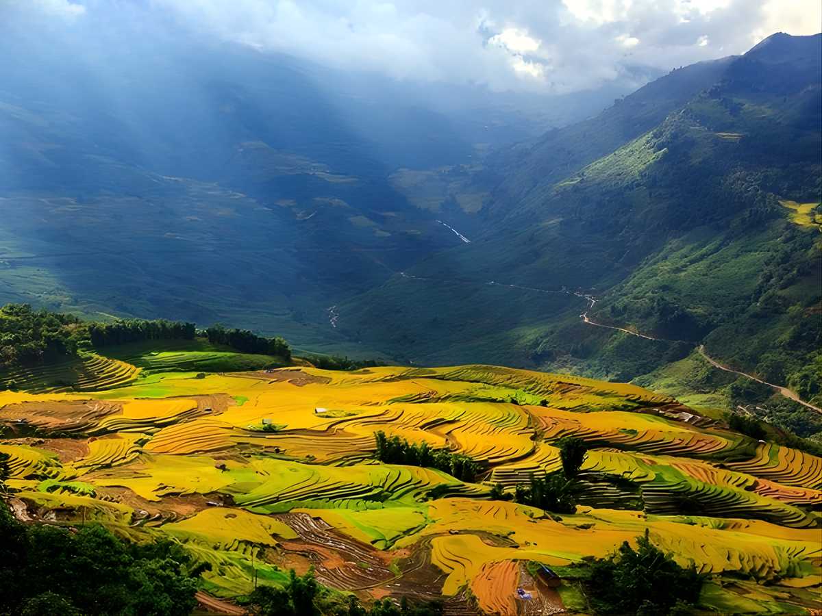 Khung cảnh núi rừng hùng vĩ tại Sa Pa thu hút nhiều du khách ghé thăm.