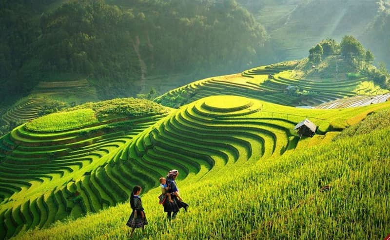 Khung cảnh thiên nhiên Sa Pa tuyệt đẹp vào tháng 4. 