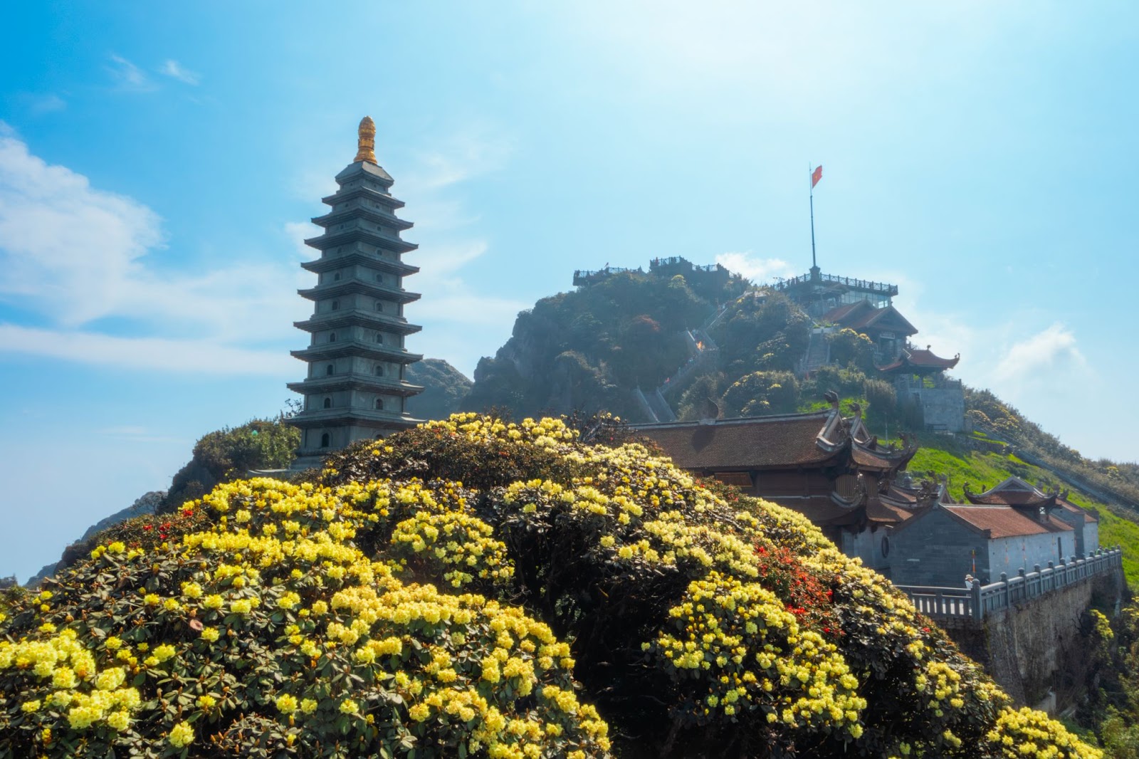 Mùa hoa đỗ quyên rừng Tây Bắc tại Fansipan thường bắt đầu từ tháng 3, rực rỡ nhất vào tháng 4 và kéo dài đến hết tháng 5.&nbsp;