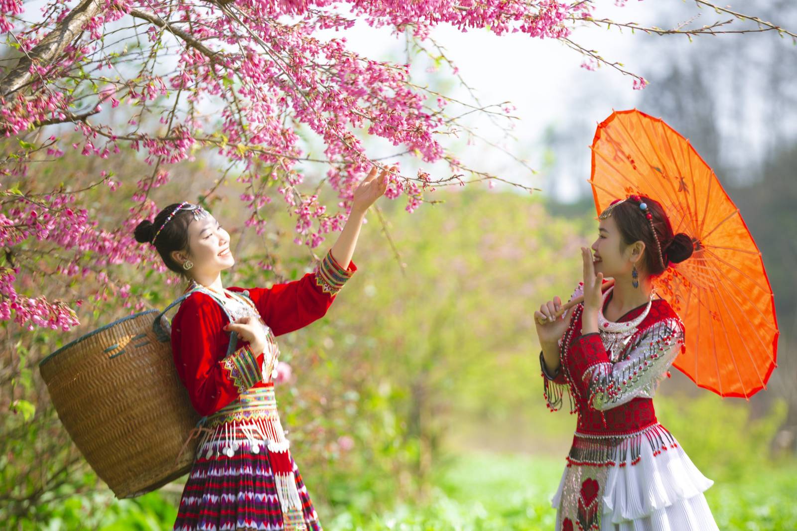 Sa Pa dần hình thành một cấu trúc du lịch có chiều sâu – nền tảng của tăng trưởng dài hạn.