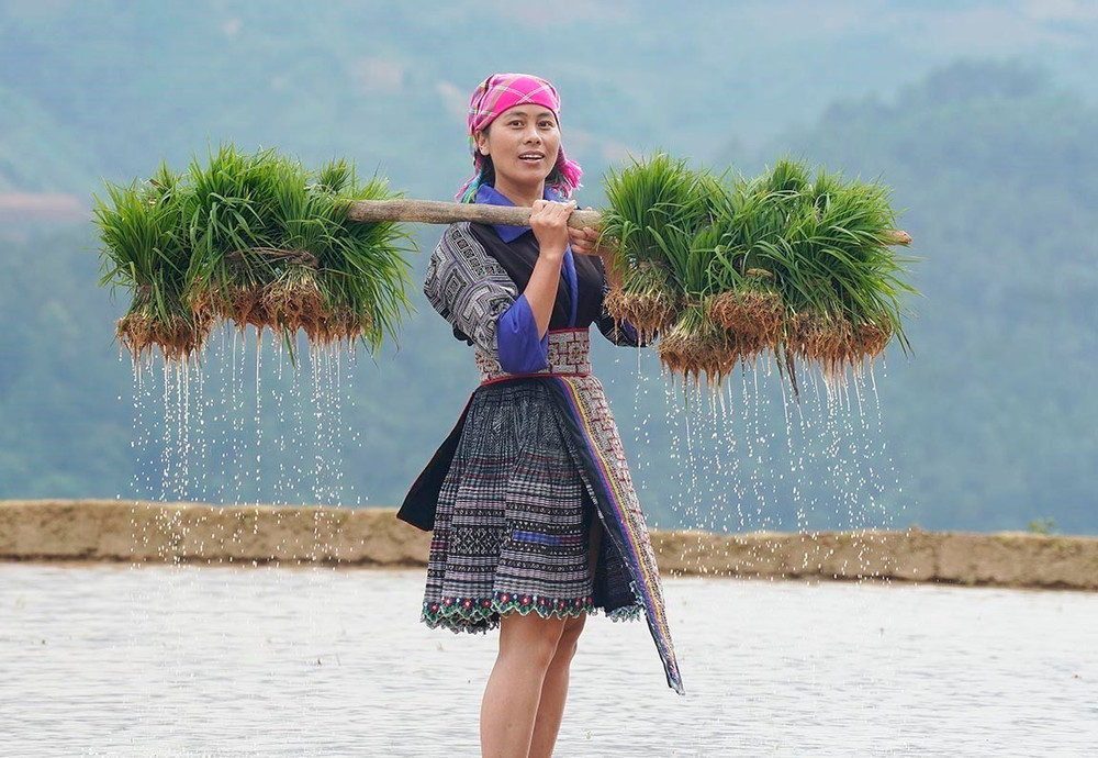 Mùa nước đổ cũng là thời điểm người dân Mù Cang Chải bắt đầu vào vụ lúa mới.