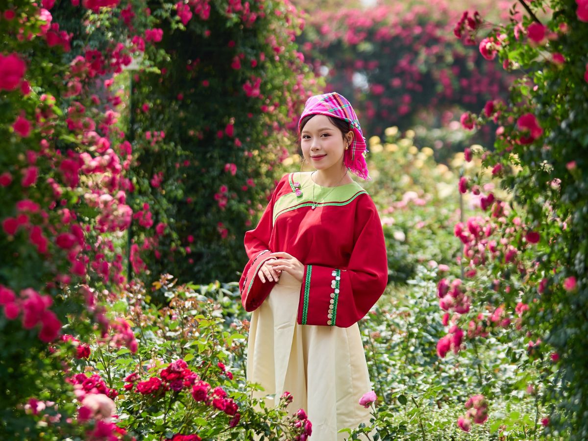 Du khách có thể yên tâm khám phá Fansipan nhờ hệ thống di chuyển hiện đại và tiện nghi.