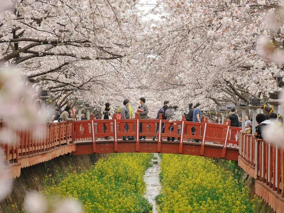 Không khí du lịch lễ hội sôi động với du khách tham quan chụp ảnh đông vui.