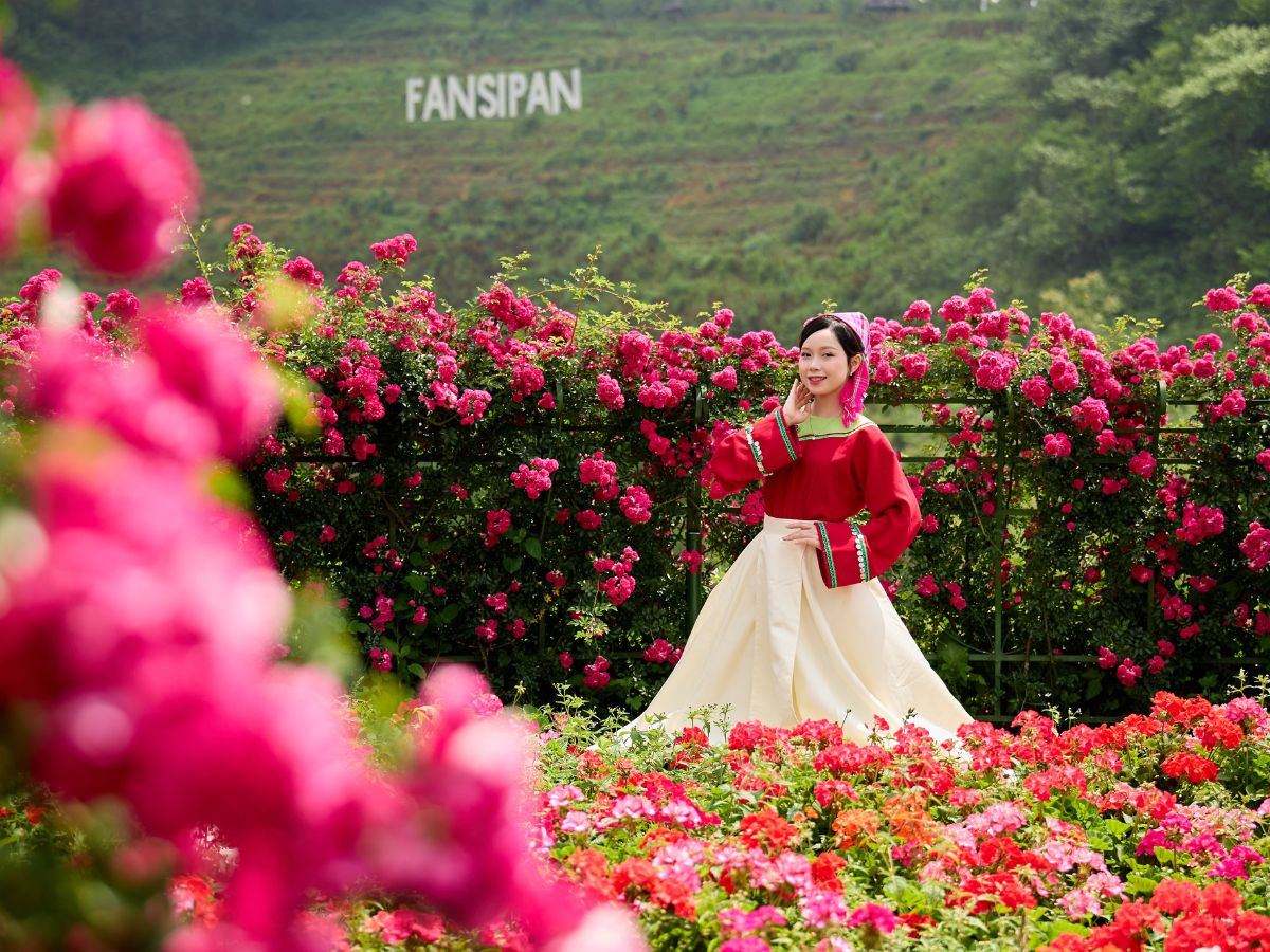 Hành trình tại Sun World Fansipan Legend hòa trọn cùng cảnh sắc thiên nhiên.