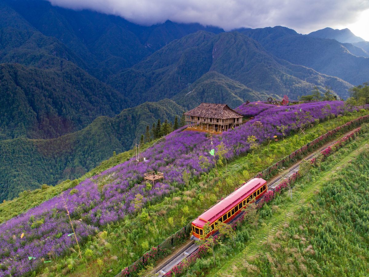 Ngồi tàu hỏa Mường Hoa cảm nhận trọn vẹn vẻ đẹp yên bình của đại ngàn.